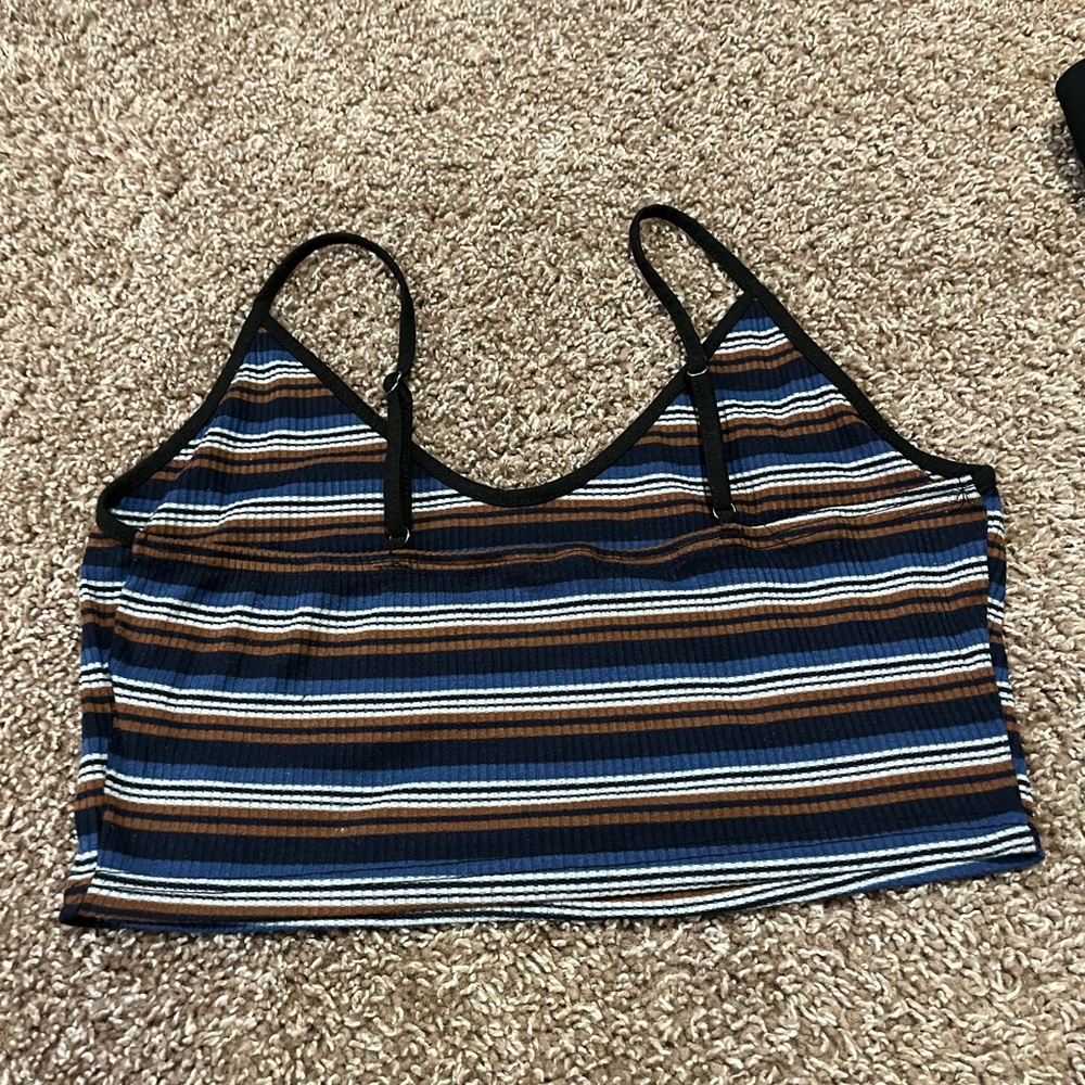 Striped Blue and Brown Women's Crop Top
